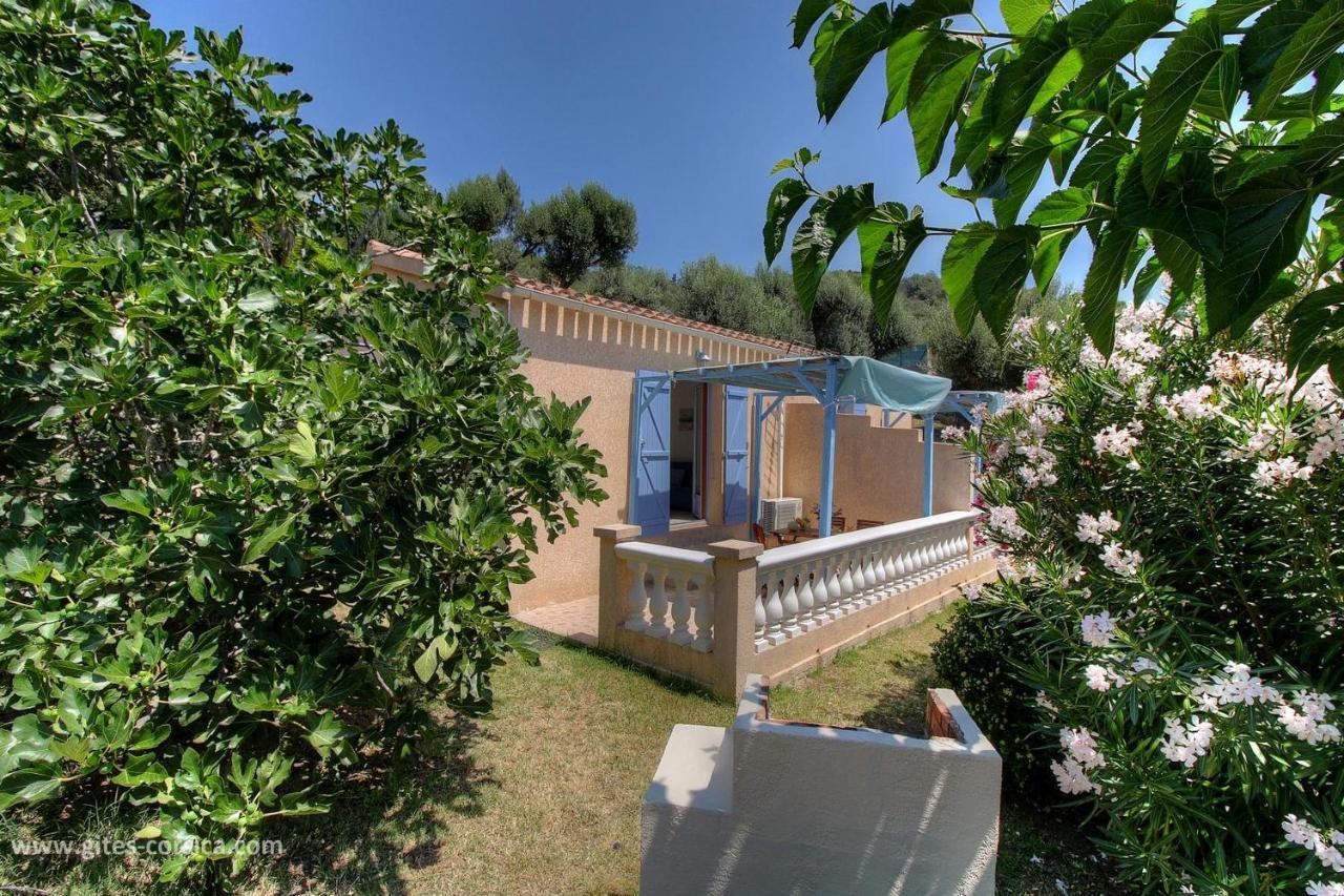 L'Amandier -Le Figuier-Les Lauriers Roses Ajaccio  Zewnętrze zdjęcie