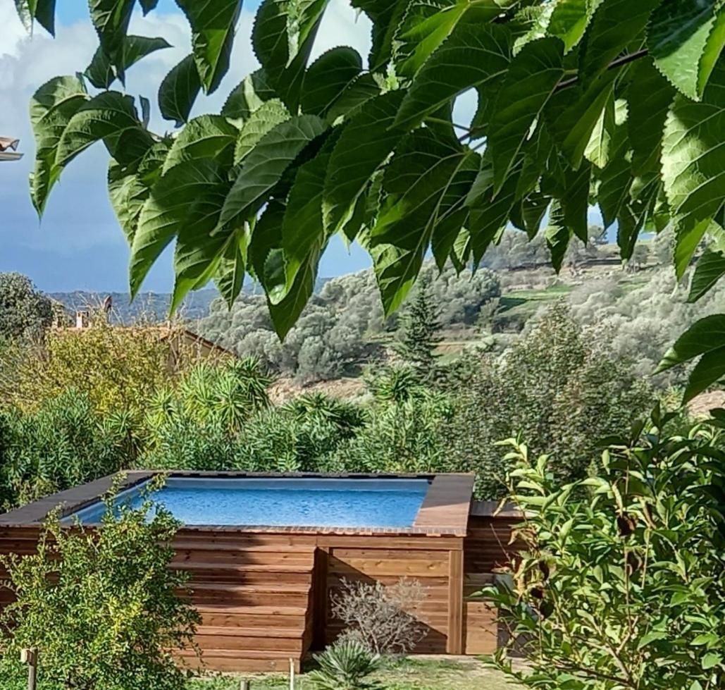 L'Amandier -Le Figuier-Les Lauriers Roses Ajaccio  Zewnętrze zdjęcie